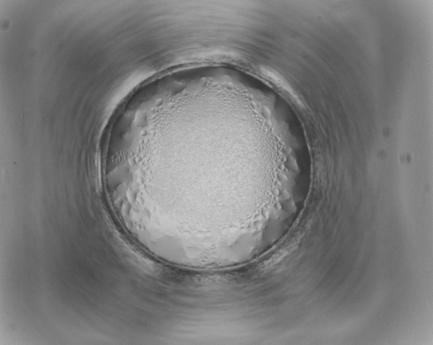 X0000075411079200609291700