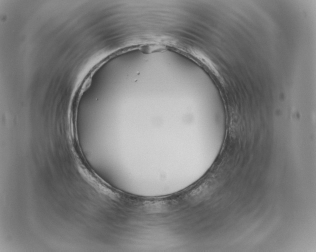 X0000075411080200609291700