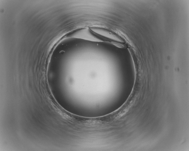 X0000075411081200609291700