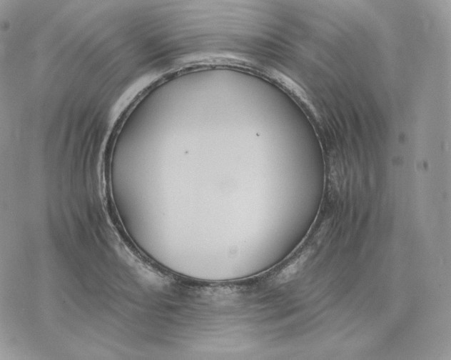 X0000075411082200609291700