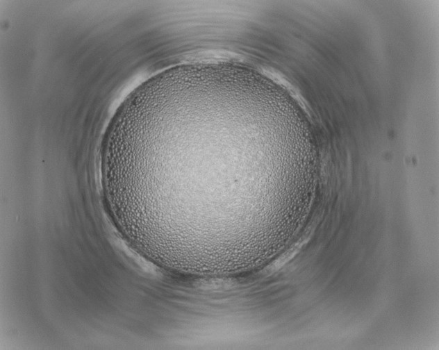 X0000075411083200609291700