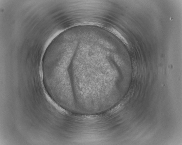 X0000075411084200609291700