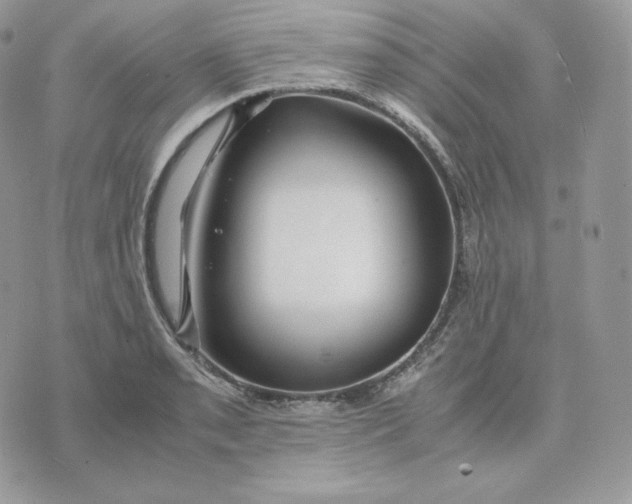 X0000075411085200609291700