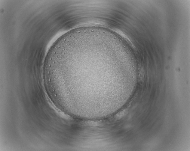 X0000075411086200609291700