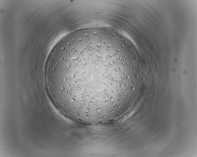 X0000075411087200609291700