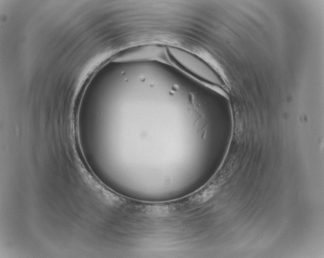 X0000075411088200609291700