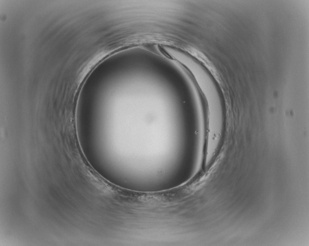 X0000075411089200609291700