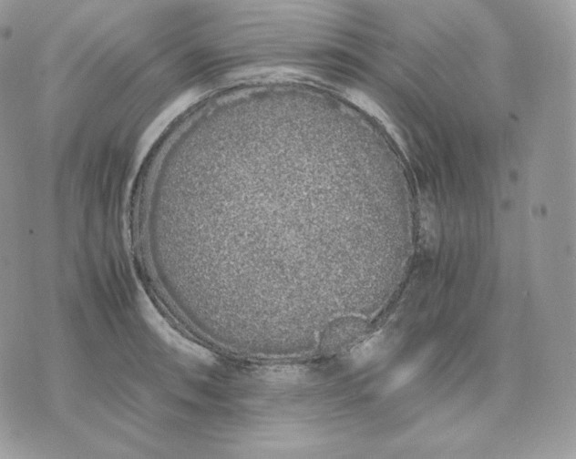 X0000075411090200609291700