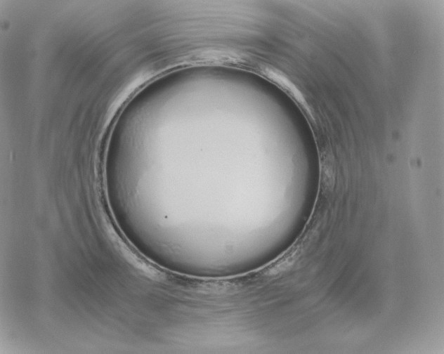 X0000075411091200609291700