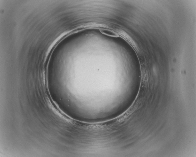 X0000075411092200609291700