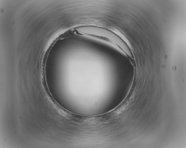 X0000075411093200609291700