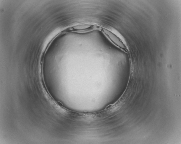 X0000075411096200609291700