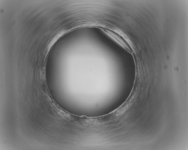 X0000075411097200609291700