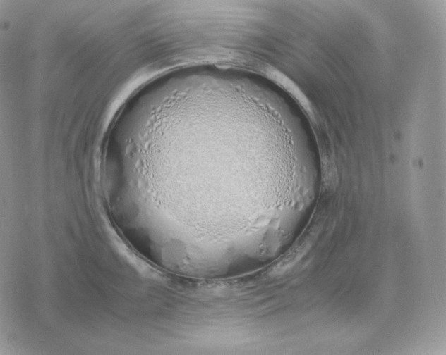 X0000075411099200609291700