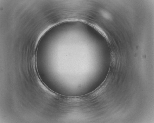 X0000075411100200609291700