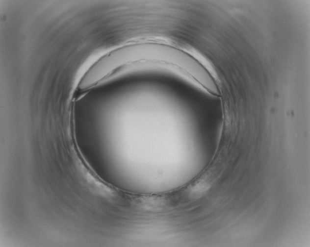 X0000075411102200609291700