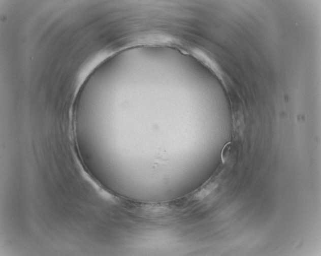 X0000075411103200609291700