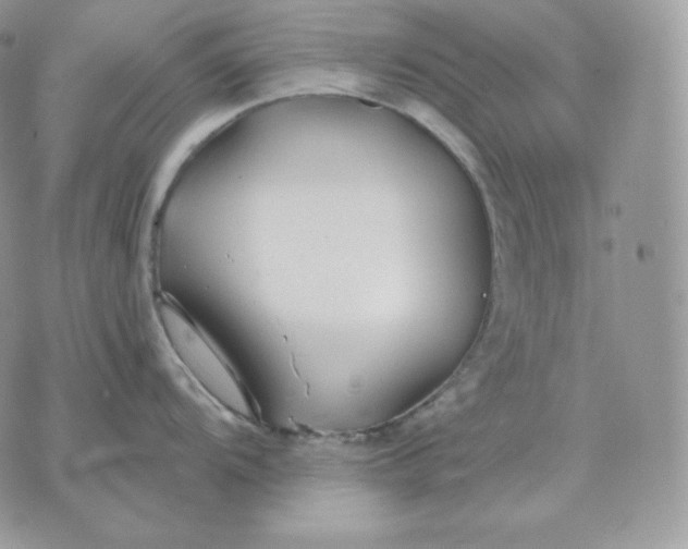 X0000075411104200609291700