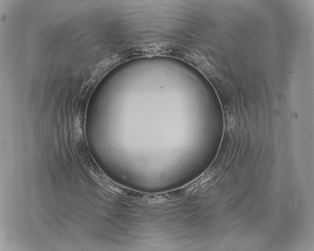 X0000075411106200609291659