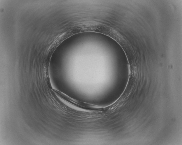 X0000075411108200609291659