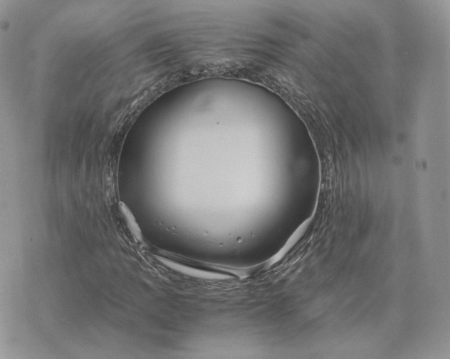 X0000075411109200609291659