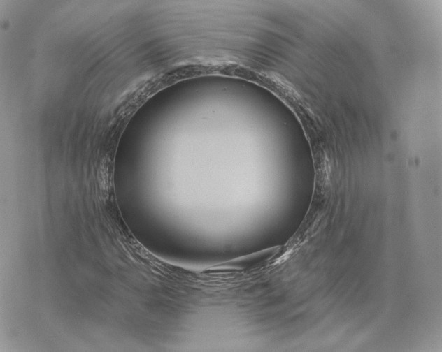 X0000075411110200609291659