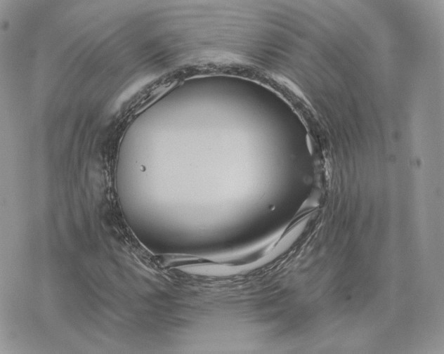 X0000075411112200609291659