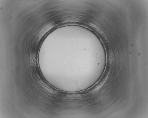 X0000075411113200609291659