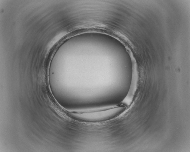 X0000075411114200609291659