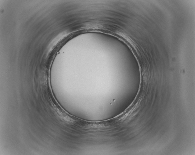 X0000075411115200609291659