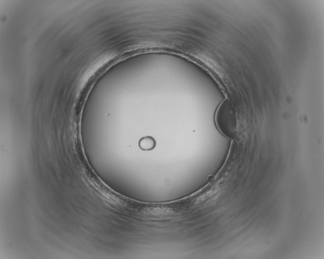 X0000075411119200609291659