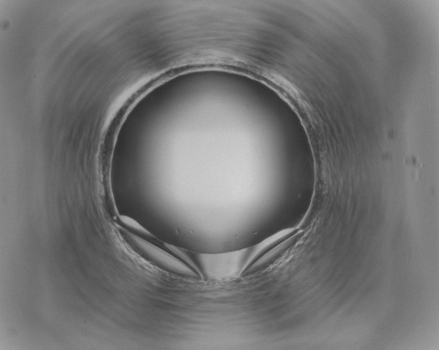 X0000075411120200609291659