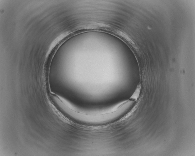 X0000075411122200609291659