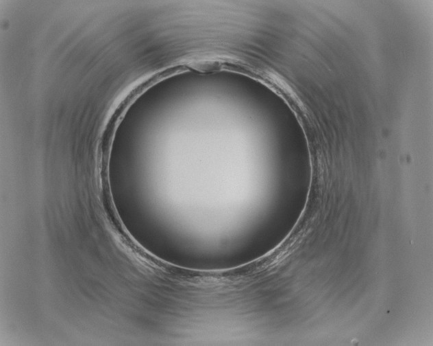 X0000075411124200609291659