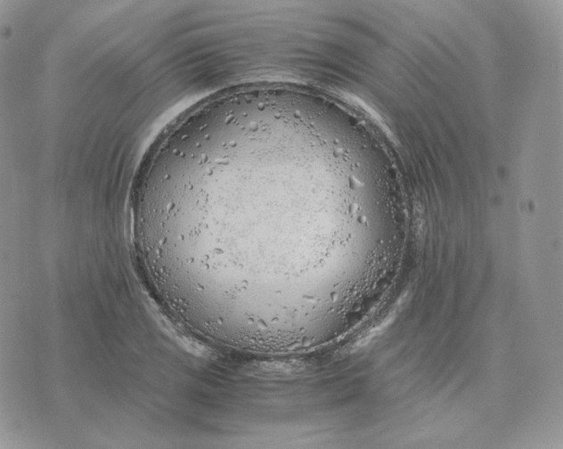 X0000075411125200609291659