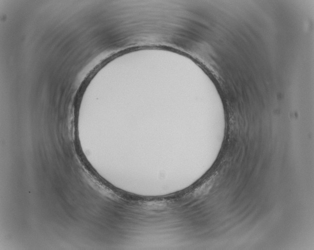 X0000075411126200609291659