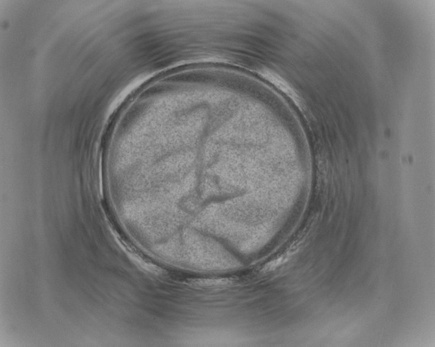 X0000075411127200609291659