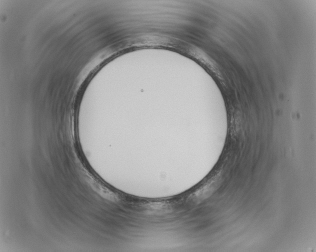 X0000075411130200609291659