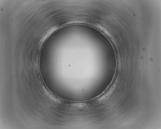 X0000075411137200609291659