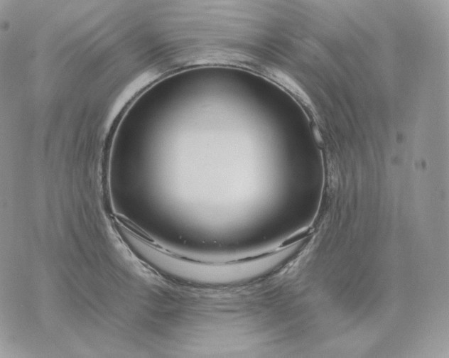 X0000075411138200609291659