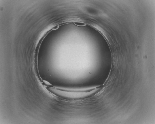 X0000075411139200609291700