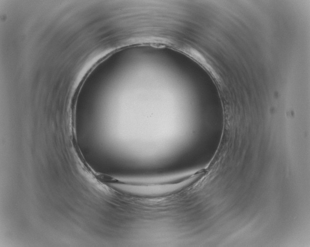 X0000075411140200609291700