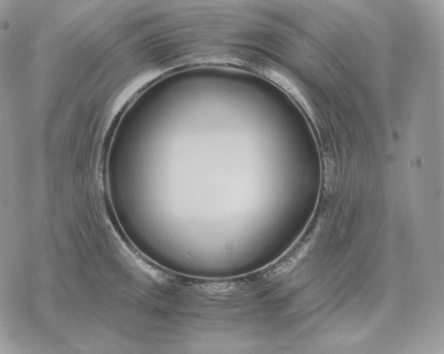 X0000075411141200609291700