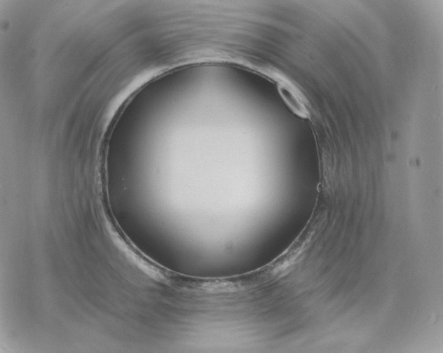 X0000075411142200609291700