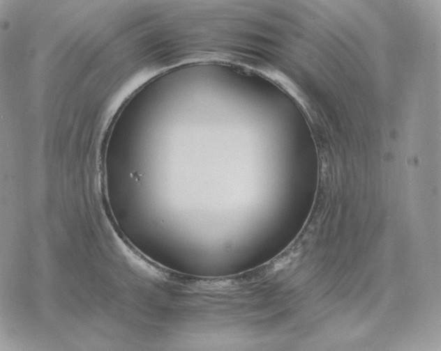 X0000075411143200609291700