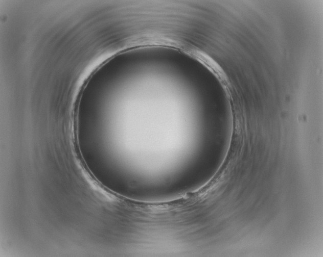 X0000075411144200609291700