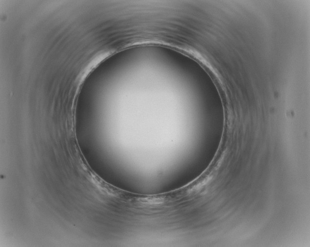 X0000075411145200609291700