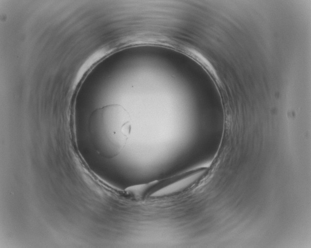 X0000075411146200609291700