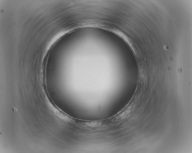 X0000075411147200609291700