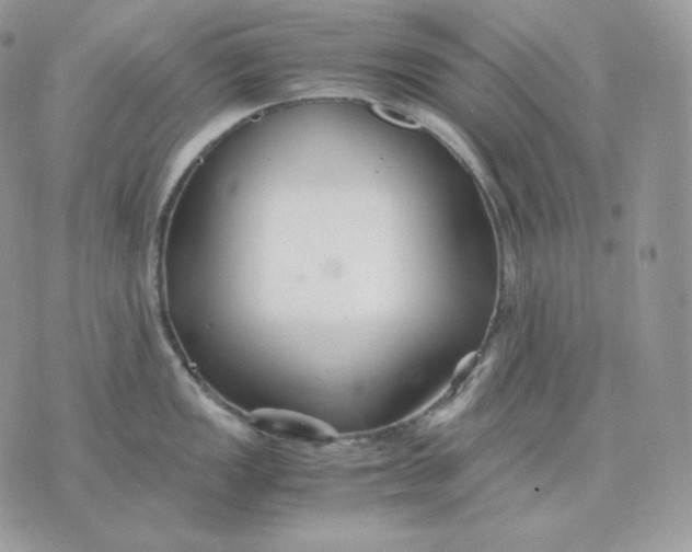 X0000075411149200609291700